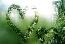 广东宏远今天最新消息-爱游戏网址登录